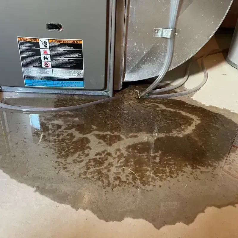 Appliance Leak Cleanup in Depue, IL